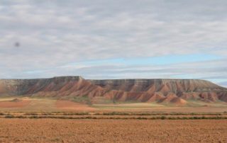 La Lomaza una riqueza esteparia que descubre el encanto del desierto de Belchite