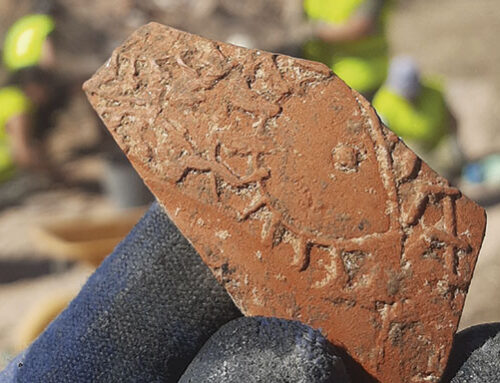 Los hallazgos del campus arqueológico realizado en el Pueblo Viejo este verano “adelantan” el origen de Belchite al periodo hispano-romano
